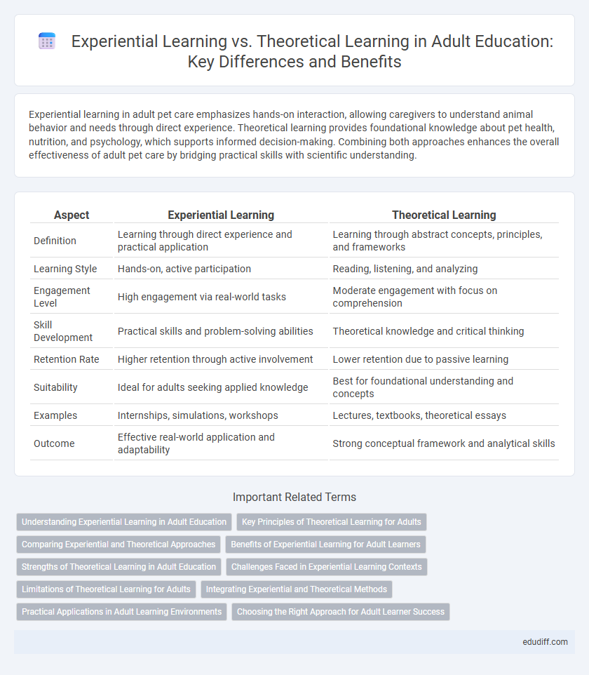 Experiential Learning vs. Theoretical Learning in Adult Education: Key Differences and Benefits