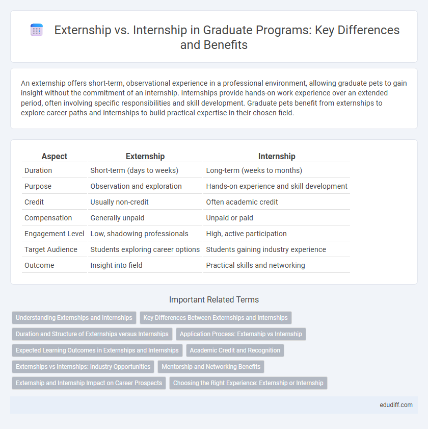 Externship vs. Internship in Graduate Programs: Key Differences and Benefits