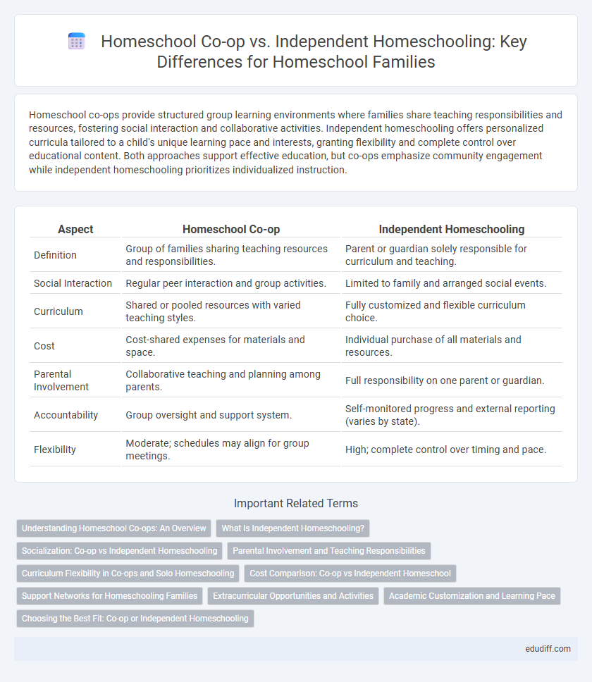 Homeschool Co-op vs. Independent Homeschooling: Key Differences for Homeschool Families