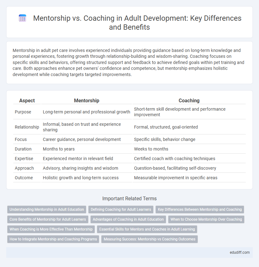 Mentorship vs. Coaching in Adult Development: Key Differences and Benefits