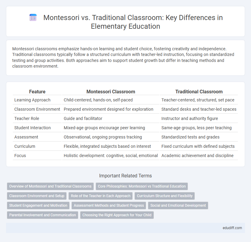 Montessori vs. Traditional Classroom: Key Differences in Elementary Education