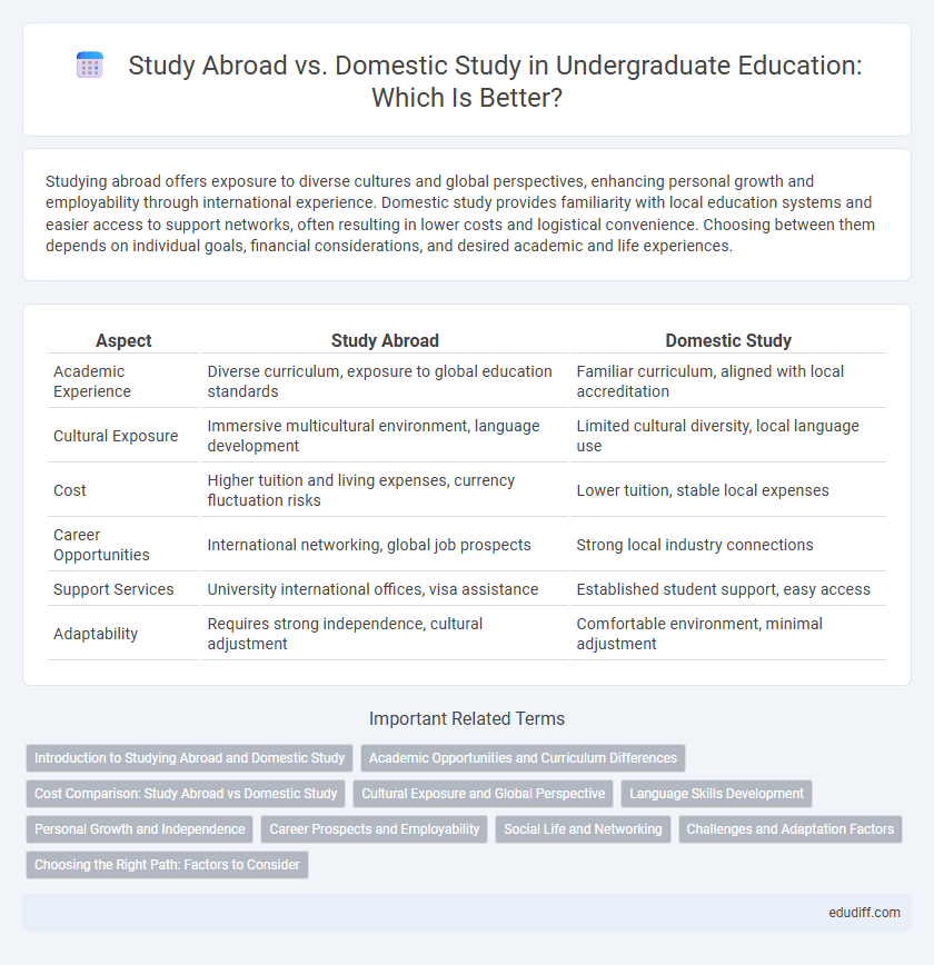 Study Abroad vs. Domestic Study in Undergraduate Education: Which Is Better?