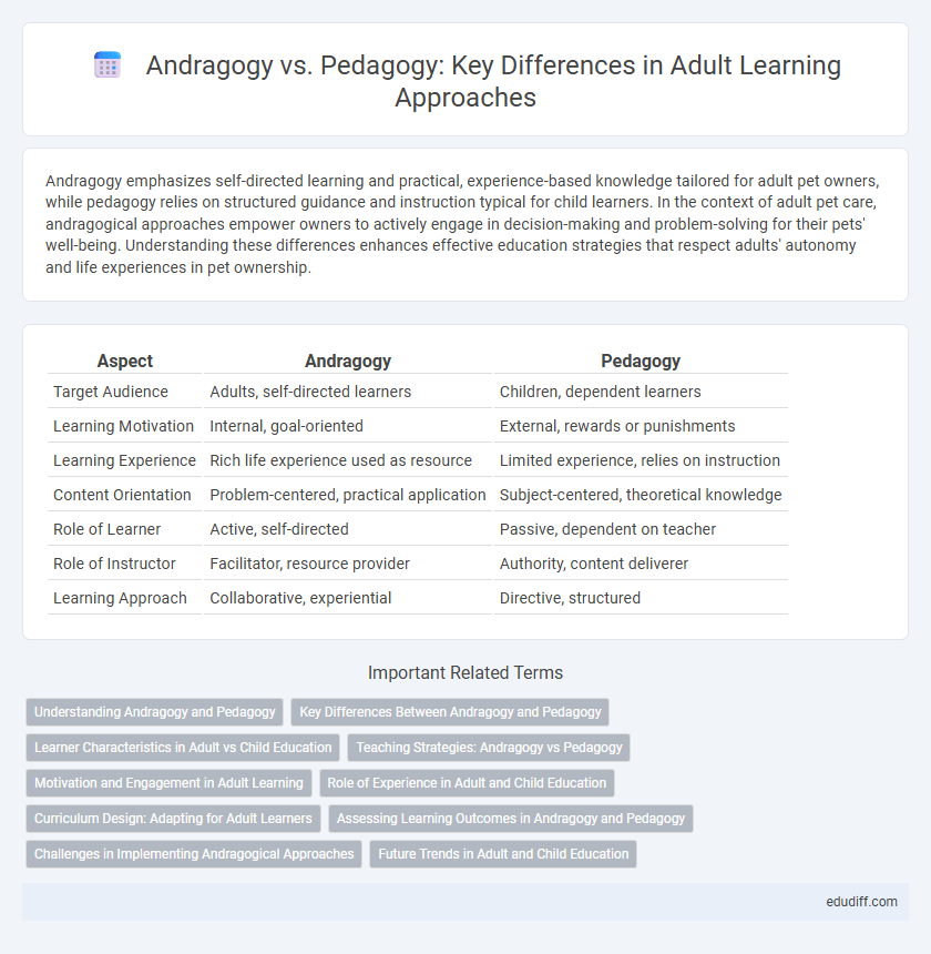 Andragogy vs. Pedagogy: Key Differences in Adult Learning Approaches