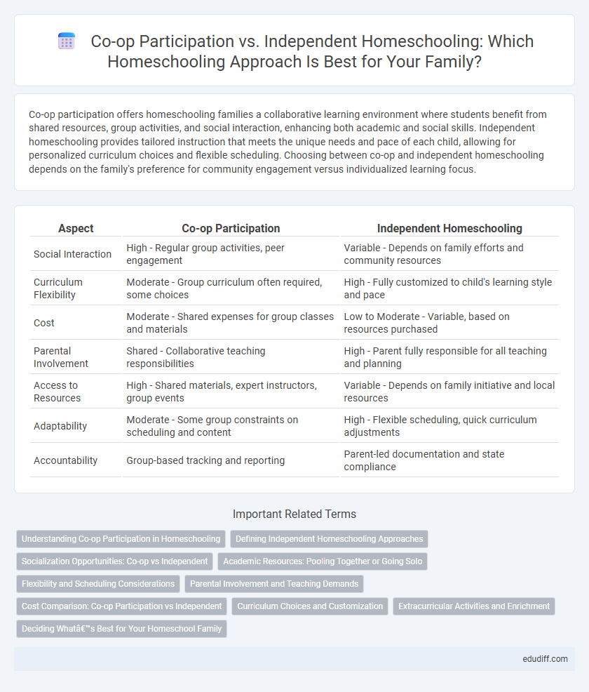 Co-op Participation vs. Independent Homeschooling: Which Homeschooling Approach Is Best for Your Family?