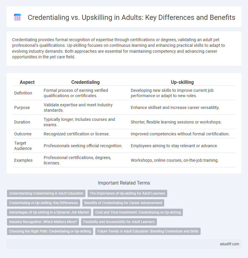 Credentialing vs. Upskilling in Adults: Key Differences and Benefits