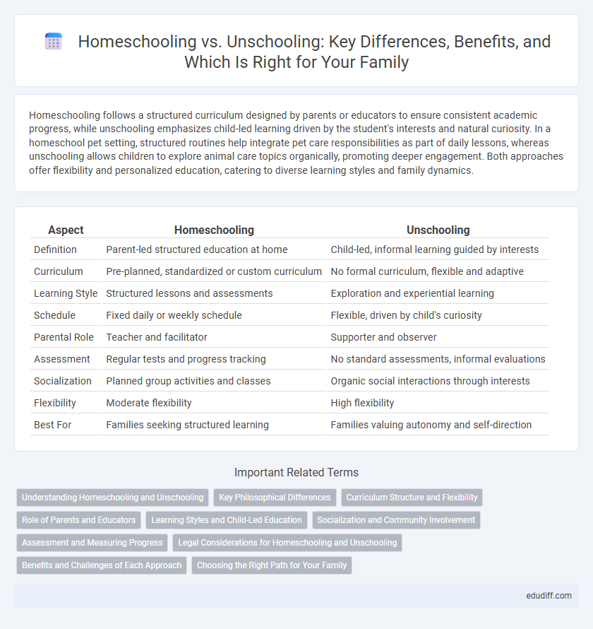 Homeschooling vs. Unschooling: Key Differences, Benefits, and Which Is Right for Your Family