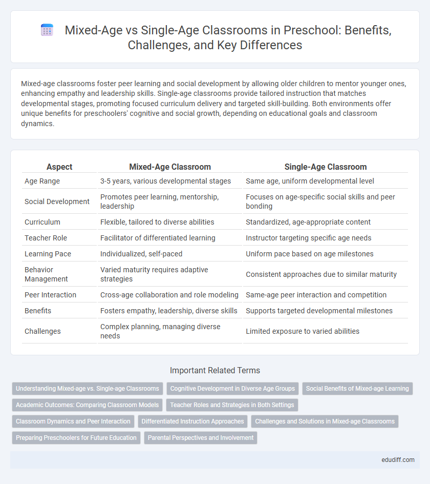 Mixed-Age vs Single-Age Classrooms in Preschool: Benefits, Challenges, and Key Differences