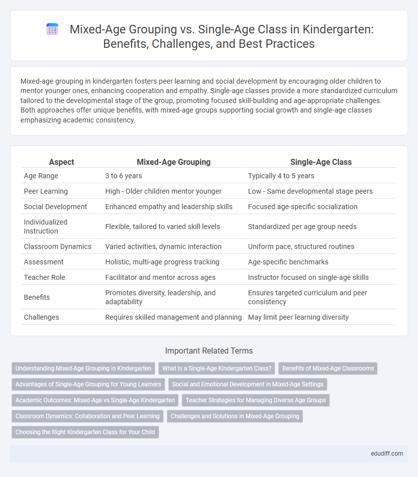 Mixed-Age Grouping vs. Single-Age Class in Kindergarten: Benefits, Challenges, and Best Practices