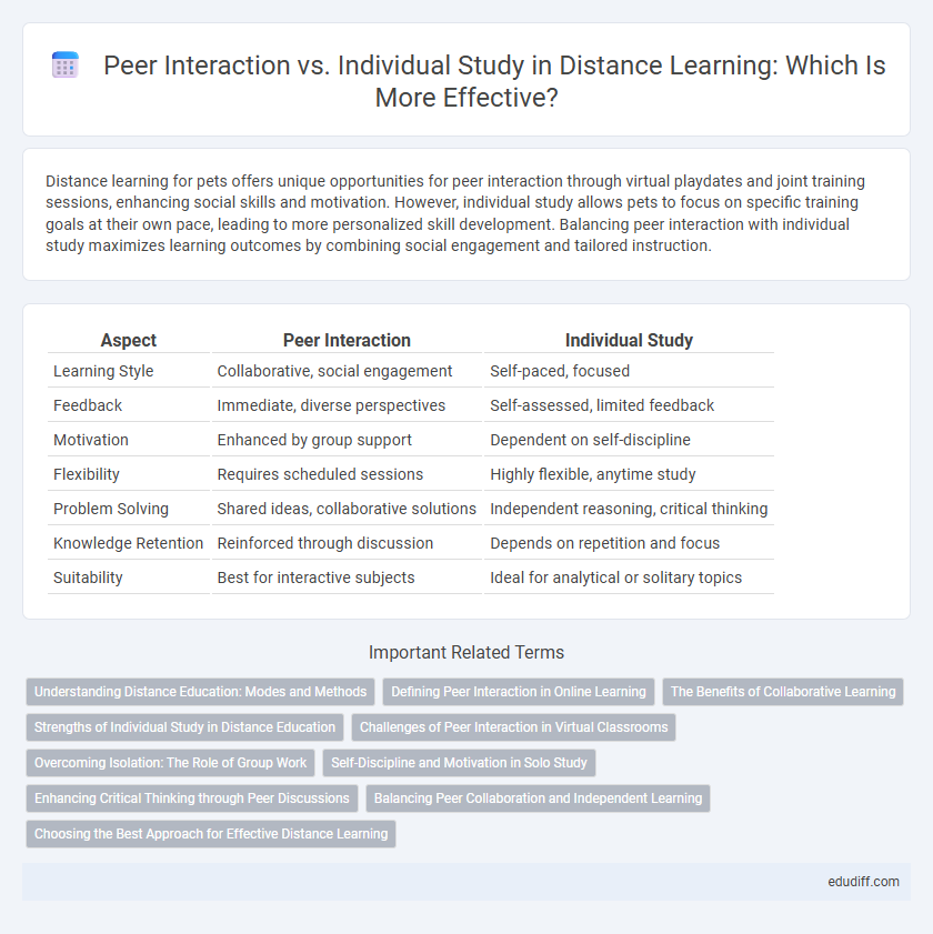 Peer Interaction vs. Individual Study in Distance Learning: Which Is More Effective?