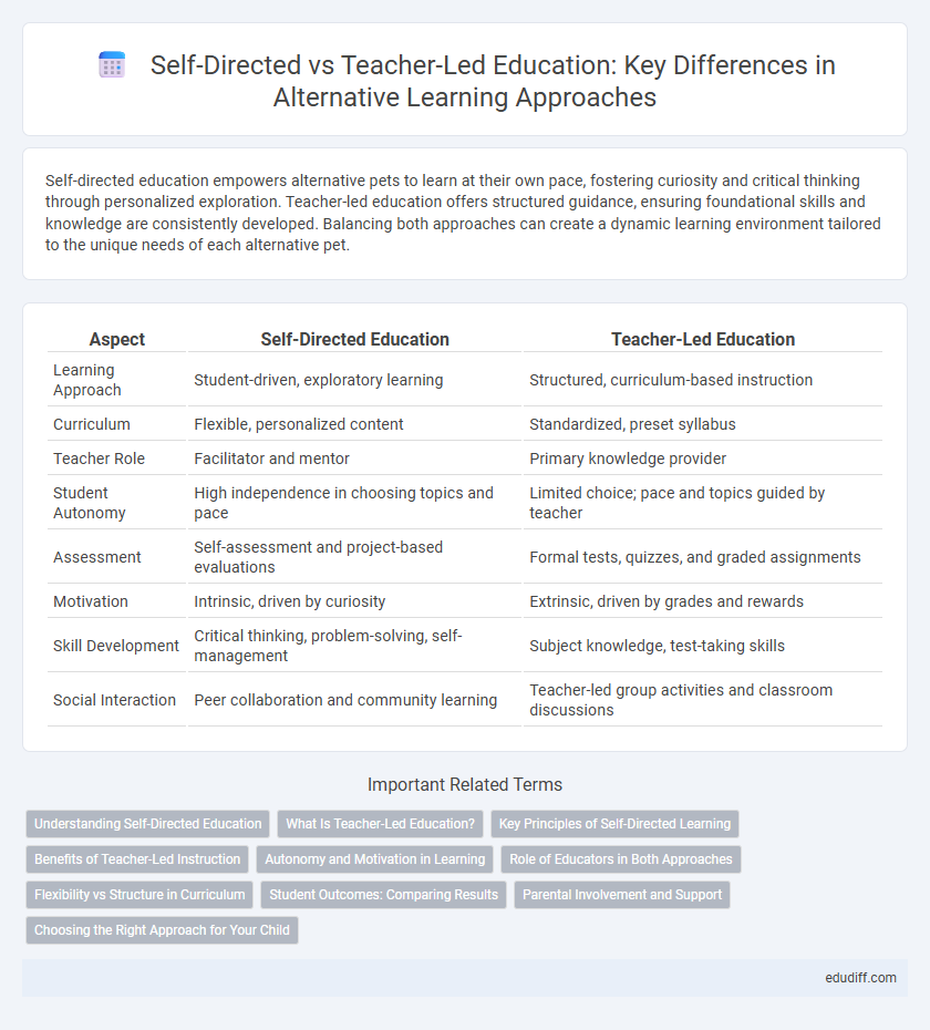 Self-Directed vs Teacher-Led Education: Key Differences in Alternative Learning Approaches