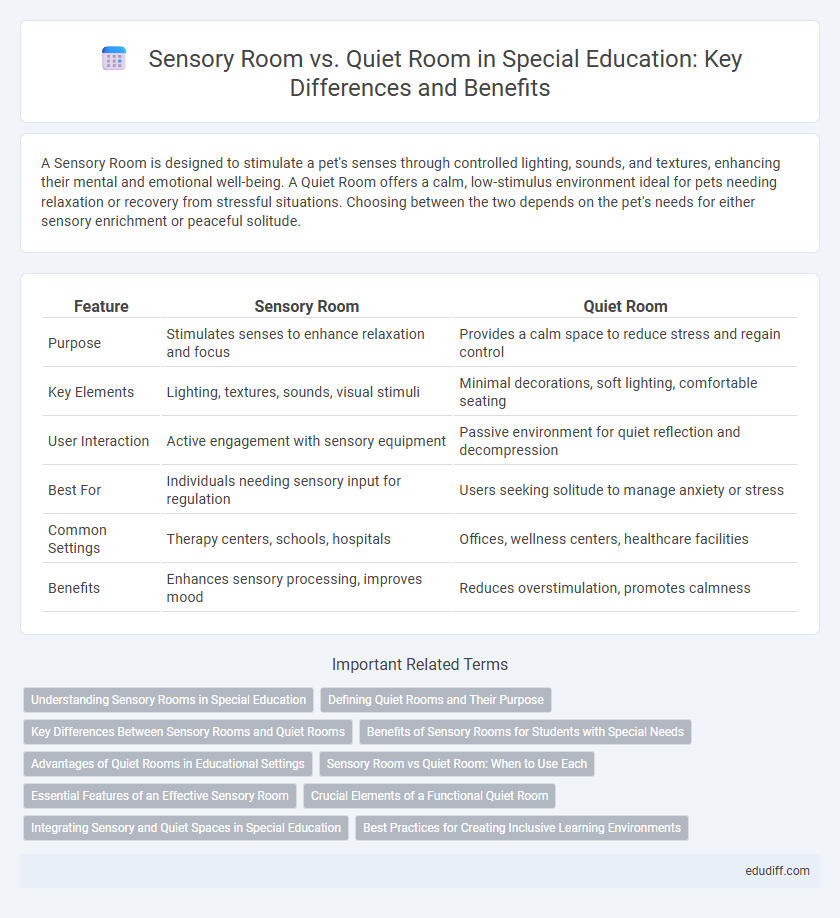 Sensory Room vs. Quiet Room in Special Education: Key Differences and Benefits