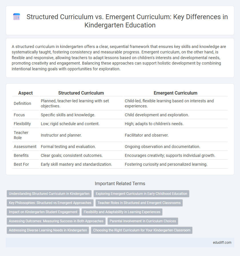 Structured Curriculum vs. Emergent Curriculum: Key Differences in Kindergarten Education