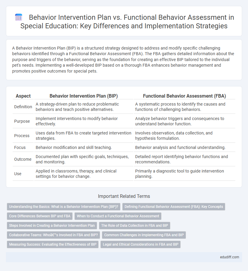 Behavior Intervention Plan vs. Functional Behavior Assessment in Special Education: Key Differences and Implementation Strategies