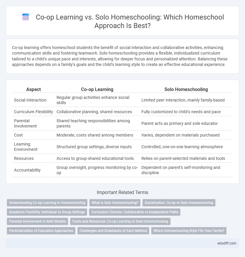 Co-op Learning vs. Solo Homeschooling: Which Homeschool Approach Is Best?