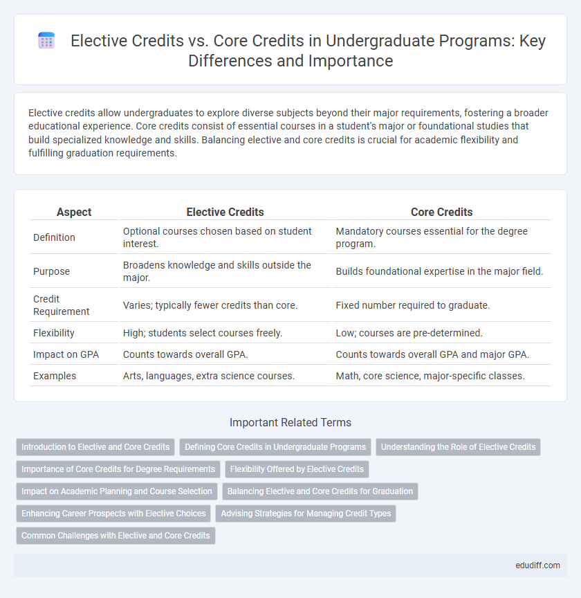 Elective Credits vs. Core Credits in Undergraduate Programs: Key Differences and Importance