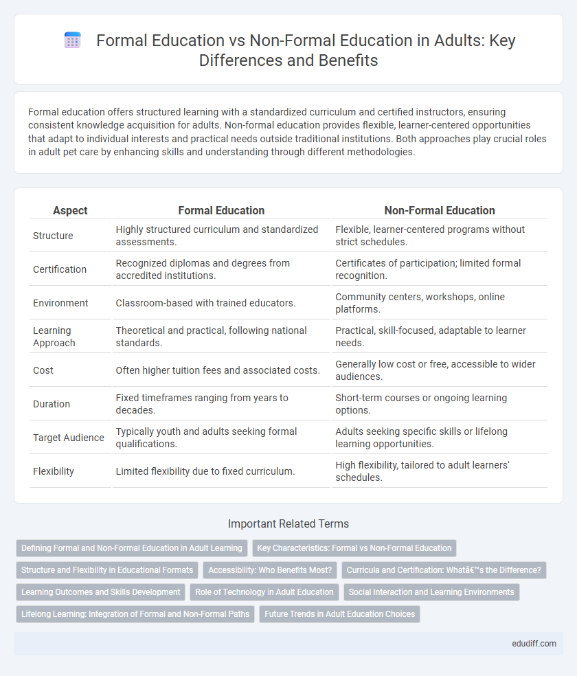 Formal Education vs Non-Formal Education in Adults: Key Differences and Benefits