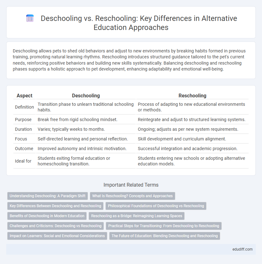 Deschooling vs. Reschooling: Key Differences in Alternative Education Approaches