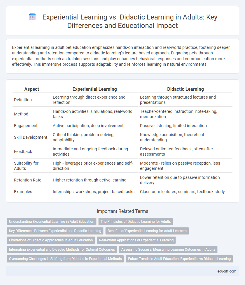 Experiential Learning vs. Didactic Learning in Adults: Key Differences and Educational Impact