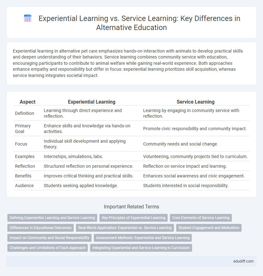 Experiential Learning vs. Service Learning: Key Differences in Alternative Education