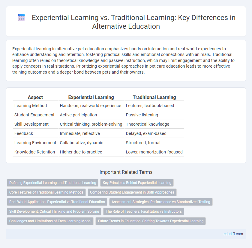 Experiential Learning vs. Traditional Learning: Key Differences in Alternative Education