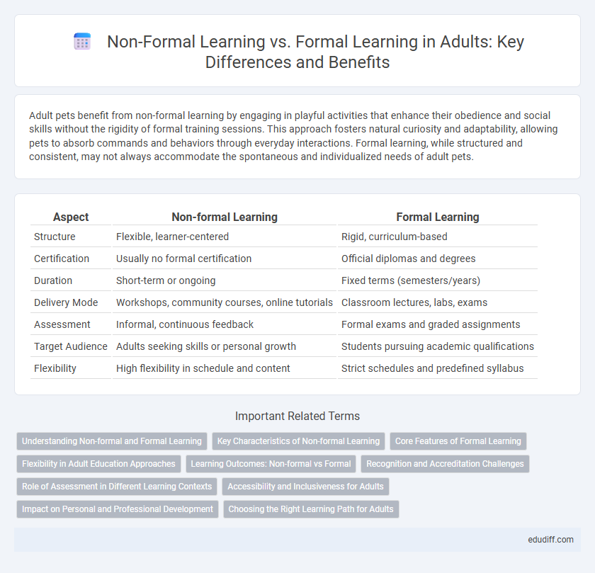 Non-Formal Learning vs. Formal Learning in Adults: Key Differences and Benefits