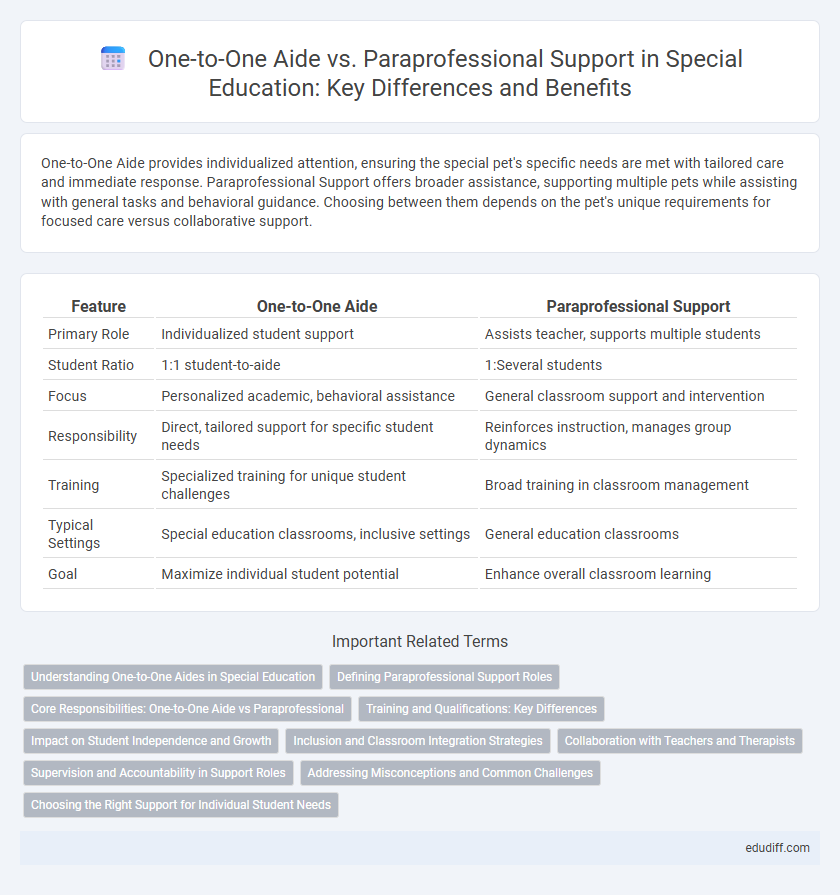 One-to-One Aide vs. Paraprofessional Support in Special Education: Key Differences and Benefits