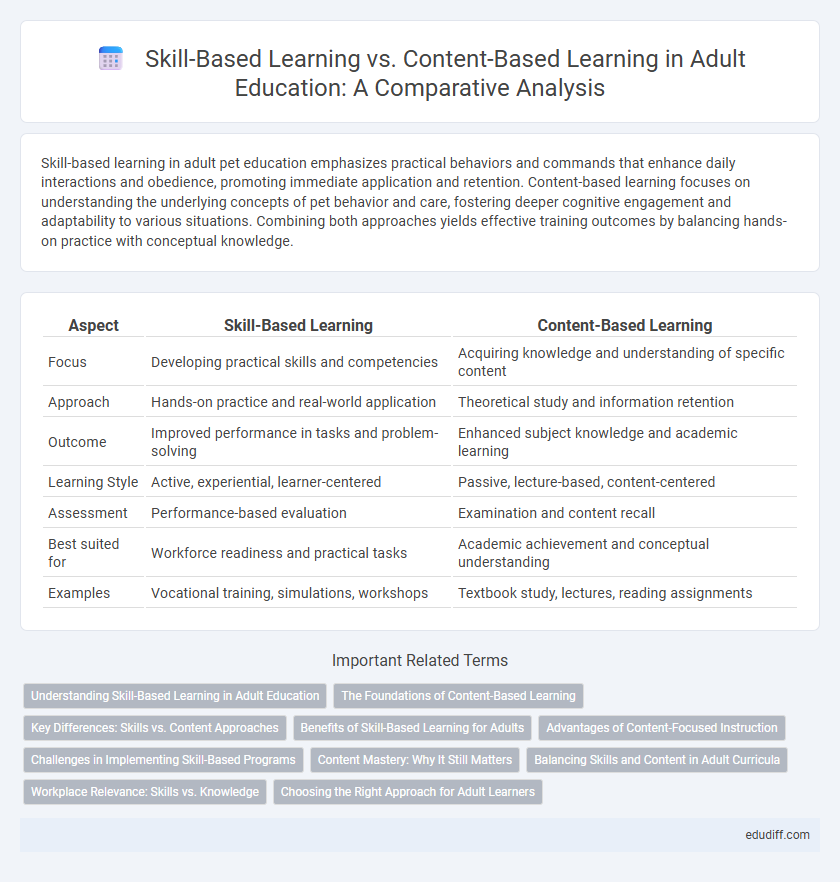 Skill-Based Learning vs. Content-Based Learning in Adult Education: A Comparative Analysis