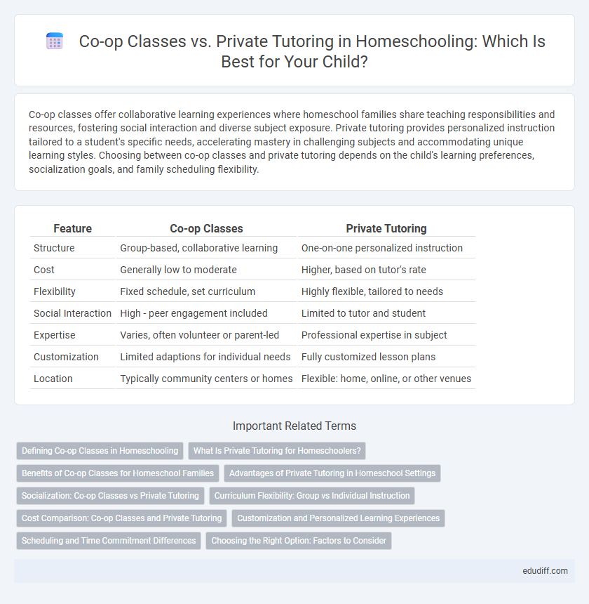 Co-op Classes vs. Private Tutoring in Homeschooling: Which Is Best for Your Child?