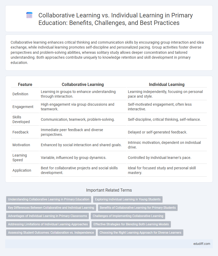 Collaborative Learning vs. Individual Learning in Primary Education: Benefits, Challenges, and Best Practices