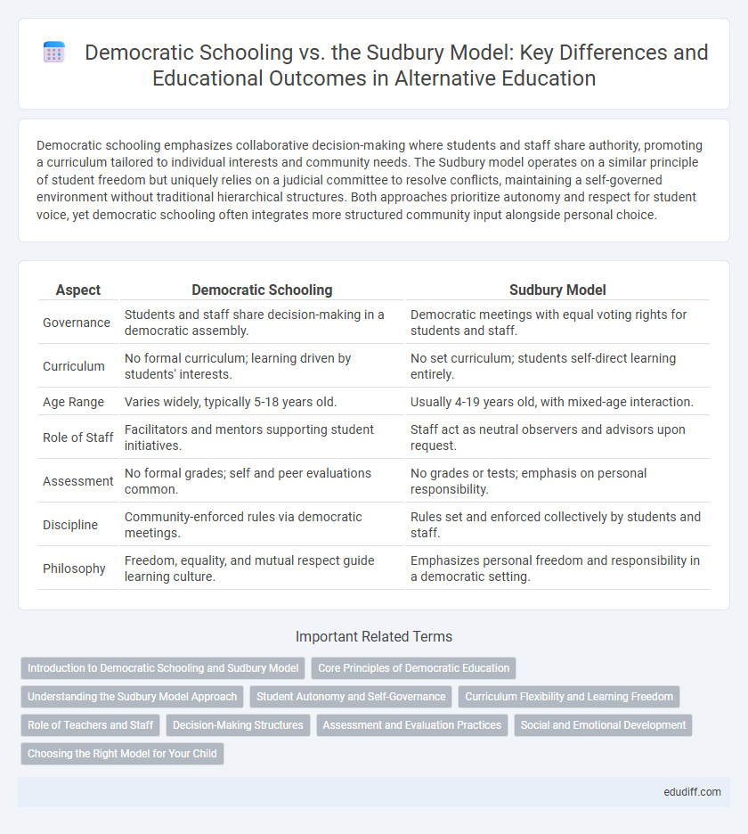 Democratic Schooling vs. the Sudbury Model: Key Differences and Educational Outcomes in Alternative Education