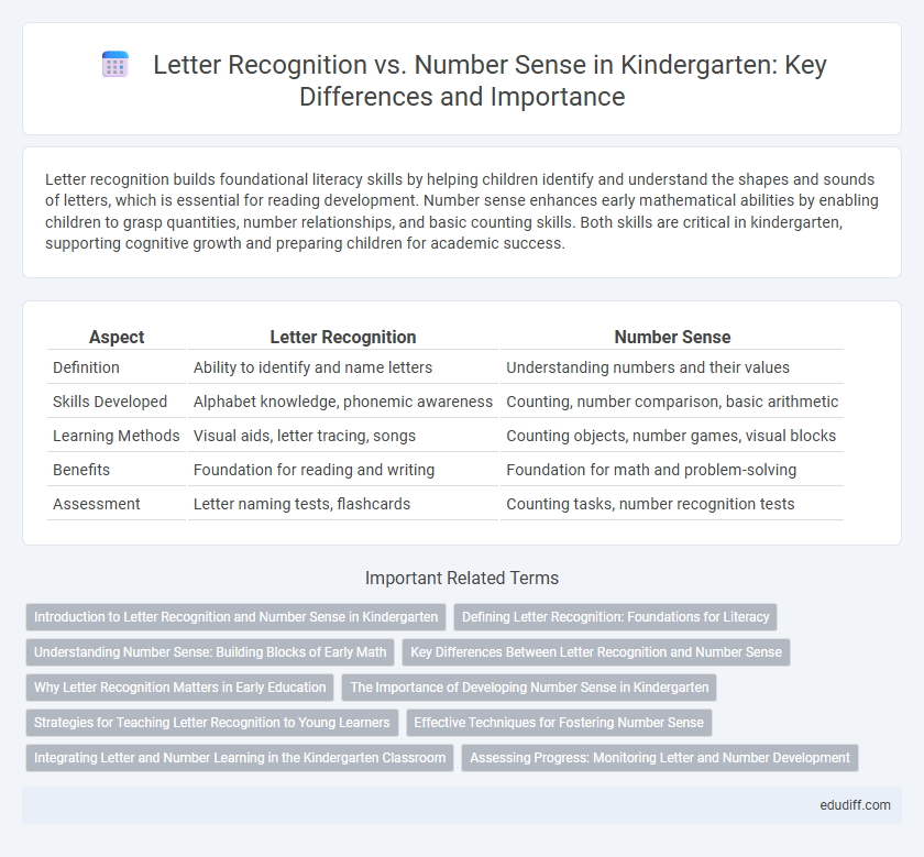 Letter Recognition vs. Number Sense in Kindergarten: Key Differences and Importance