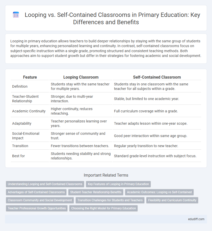 Looping vs. Self-Contained Classrooms in Primary Education: Key Differences and Benefits