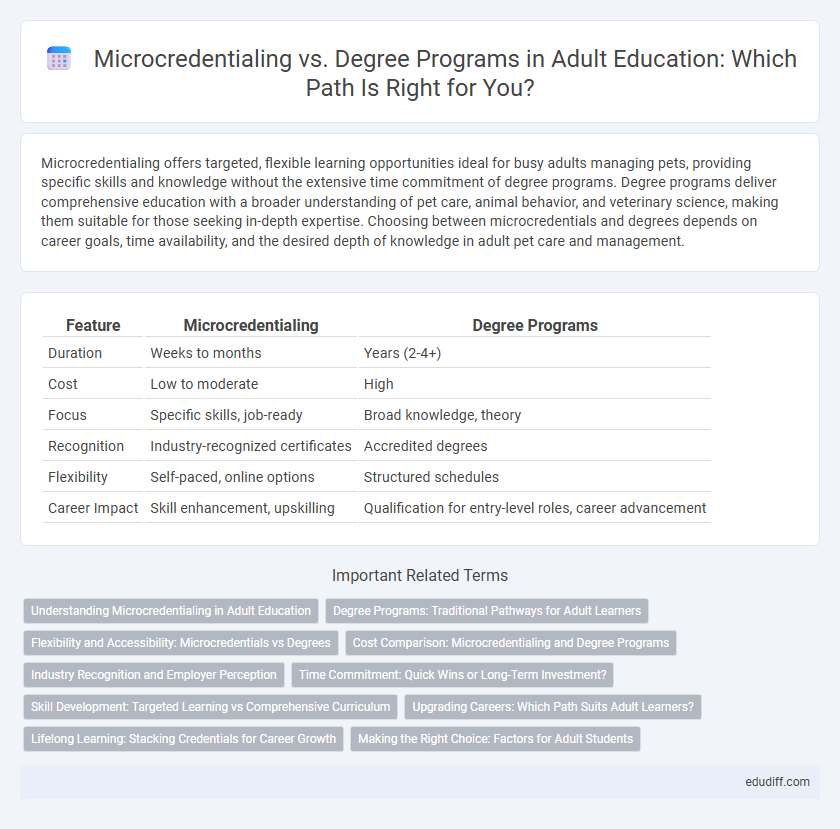 Microcredentialing vs. Degree Programs in Adult Education: Which Path Is Right for You?