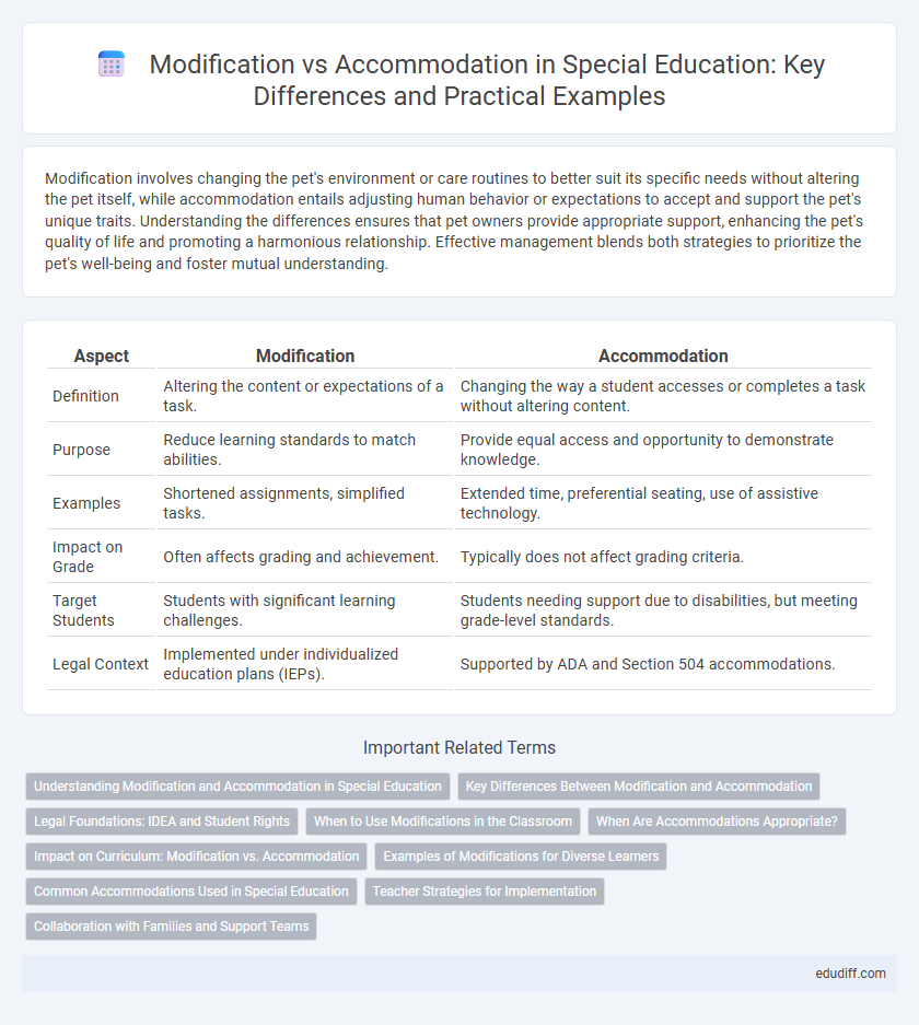 Modification vs Accommodation in Special Education: Key Differences and Practical Examples
