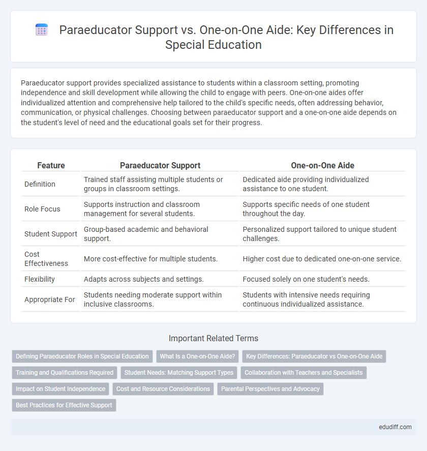 Paraeducator Support vs. One-on-One Aide: Key Differences in Special Education