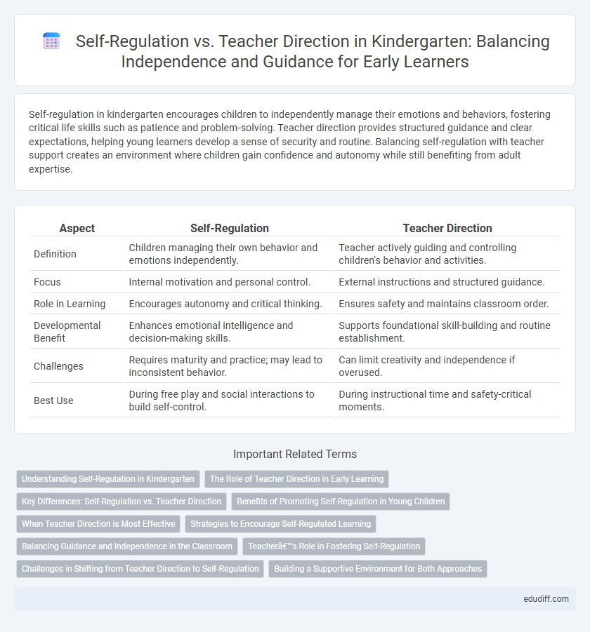Self-Regulation vs. Teacher Direction in Kindergarten: Balancing Independence and Guidance for Early Learners