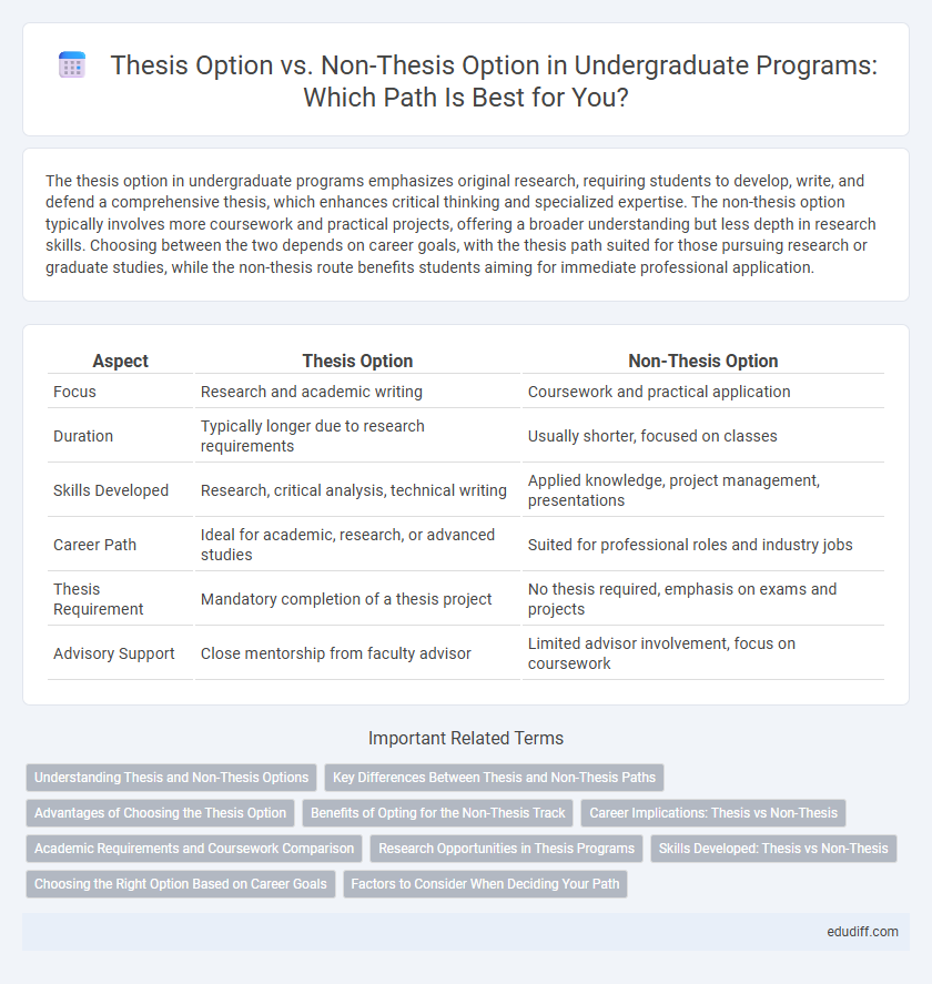 Thesis Option vs. Non-Thesis Option in Undergraduate Programs: Which Path Is Best for You?