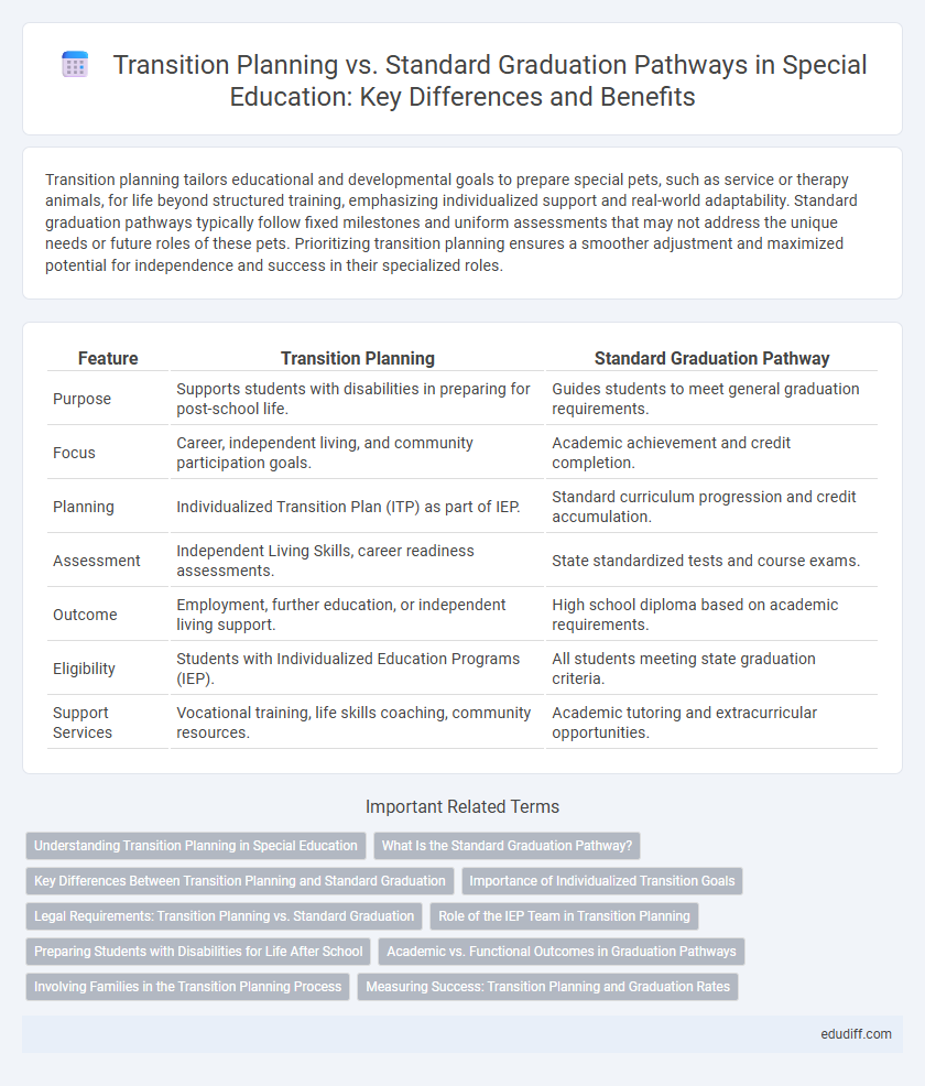Transition Planning vs. Standard Graduation Pathways in Special Education: Key Differences and Benefits