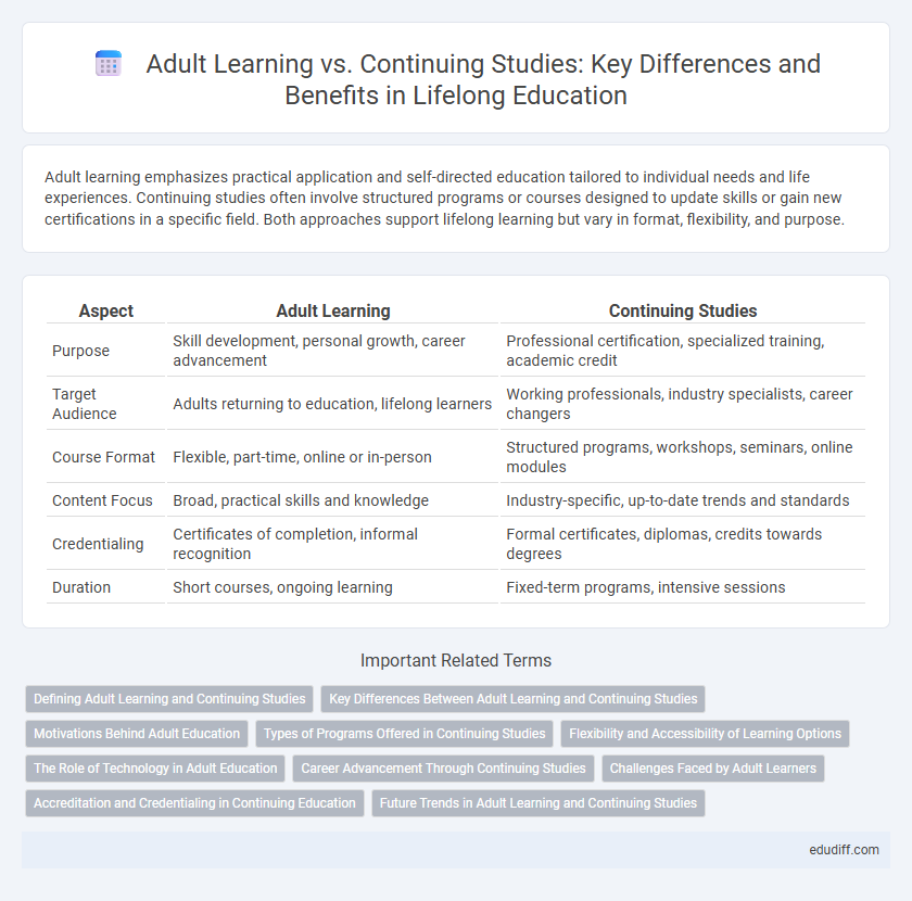 Adult Learning vs. Continuing Studies: Key Differences and Benefits in Lifelong Education