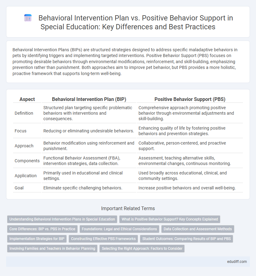 Behavioral Intervention Plan vs. Positive Behavior Support in Special Education: Key Differences and Best Practices