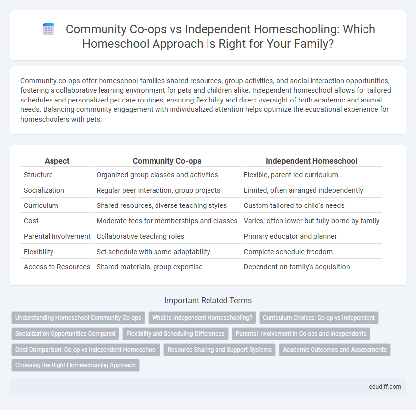 Community Co-ops vs Independent Homeschooling: Which Homeschool Approach Is Right for Your Family?