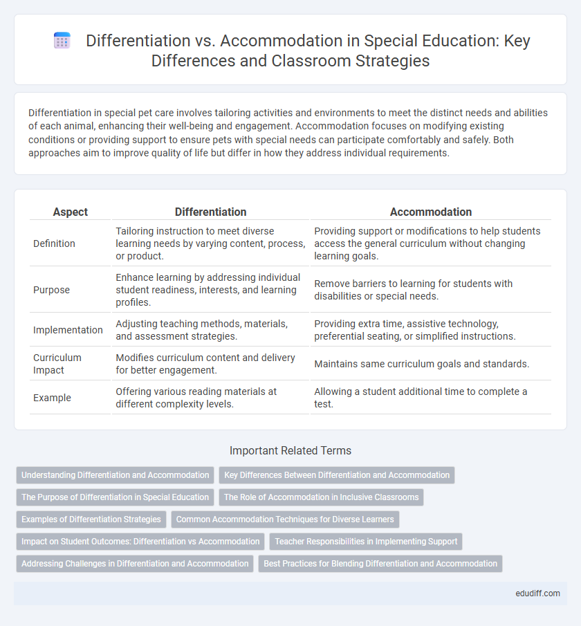 Differentiation vs. Accommodation in Special Education: Key Differences and Classroom Strategies