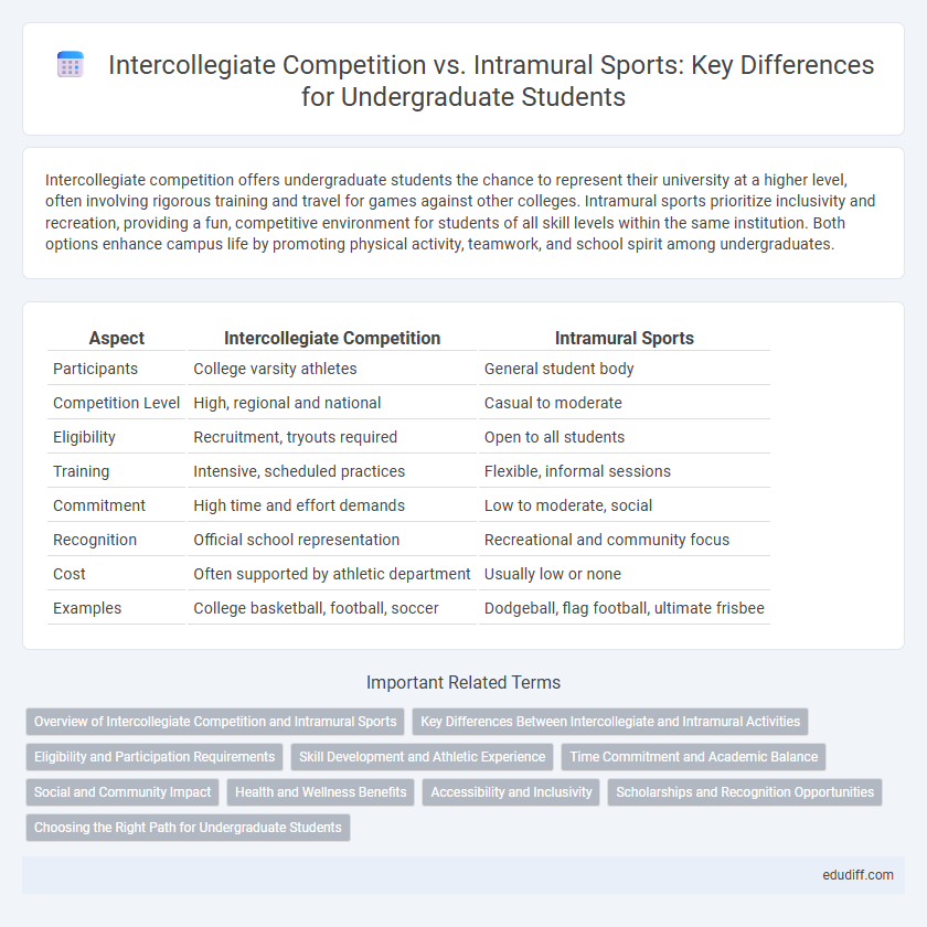 Intercollegiate Competition vs. Intramural Sports: Key Differences for Undergraduate Students