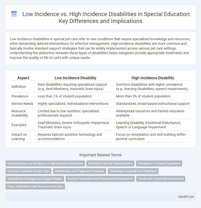 Low Incidence vs. High Incidence Disabilities in Special Education: Key Differences and Implications