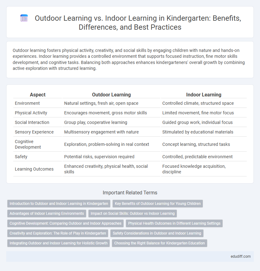 Outdoor Learning vs. Indoor Learning in Kindergarten: Benefits, Differences, and Best Practices