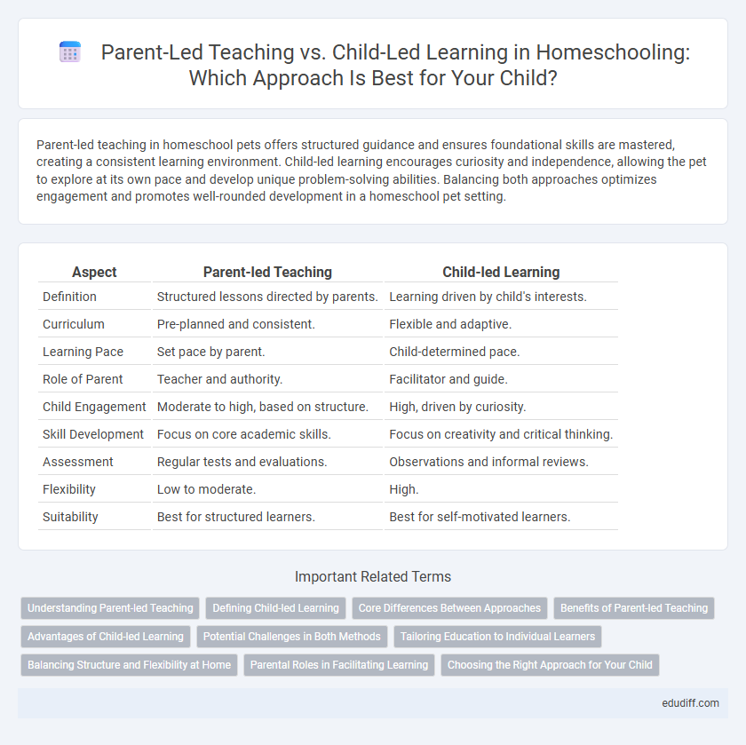 Parent-Led Teaching vs. Child-Led Learning in Homeschooling: Which Approach Is Best for Your Child?