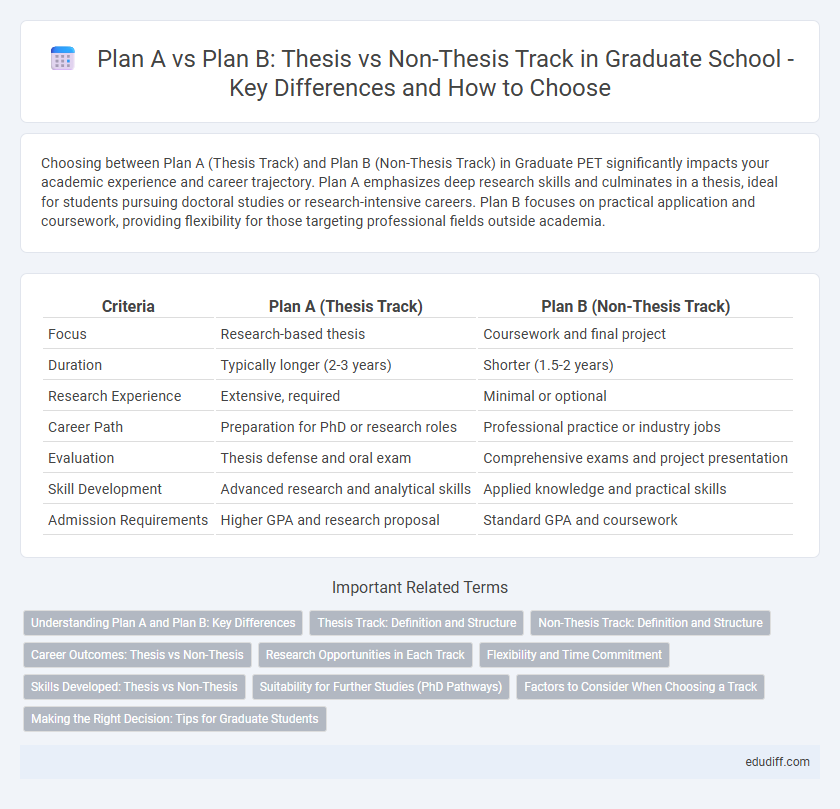 Plan A vs Plan B: Thesis vs Non-Thesis Track in Graduate School - Key Differences and How to Choose