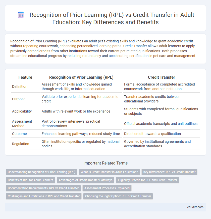 Recognition of Prior Learning (RPL) vs Credit Transfer in Adult Education: Key Differences and Benefits