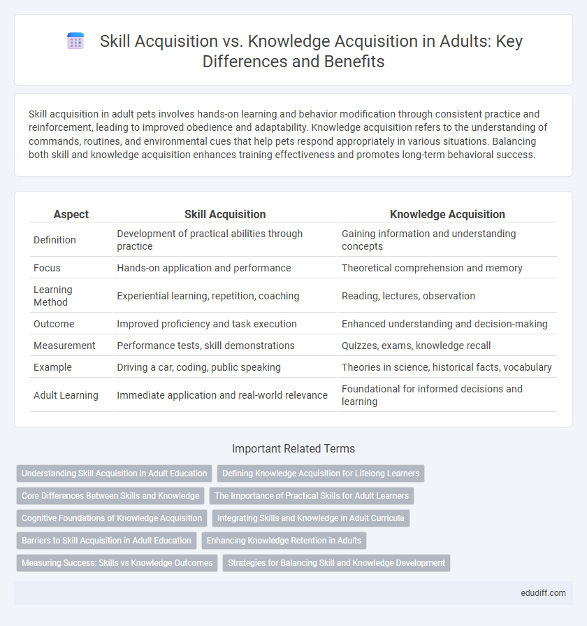 Skill Acquisition vs. Knowledge Acquisition in Adults: Key Differences and Benefits