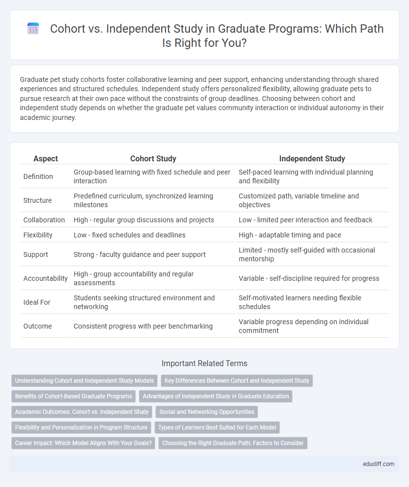 Cohort vs. Independent Study in Graduate Programs: Which Path Is Right for You?